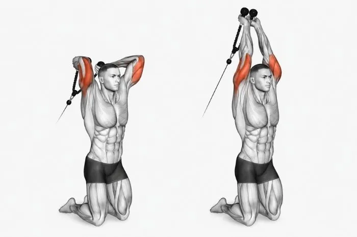 Cable overhead triceps extension showing start and finish positions with triceps muscles highlighted.